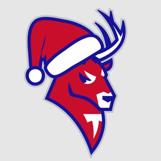 ХК Торпедо ✔