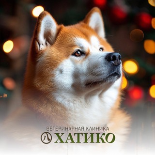 ВЕТКЛИНИКА "ХАТИКО" г.Екатеринбург