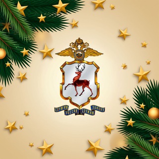 Полиция Нижегородской области