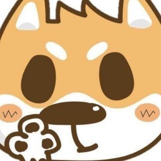 小柴 VPN 加速 - 公告通知