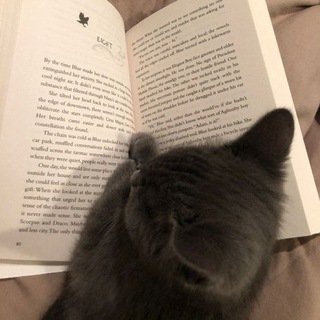 Mini Biblioteca 🍒