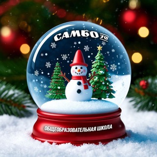 Общеобразовательная школа «Самбо-70»