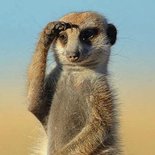 Кіра Єрьоміна