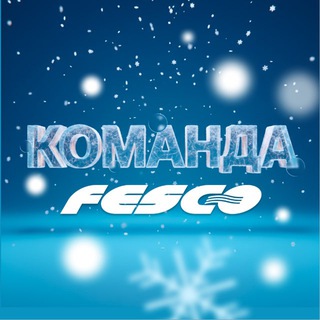 Команда FESCO
