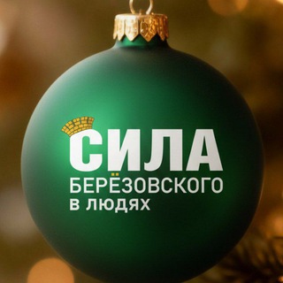 Берёзовский. Сила_БГО (Свердловская область)