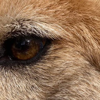 「 Ｌｅｇｓ ｆｏｒ Ｄａｙｓ 」