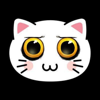 KIKI CAT Global Chat