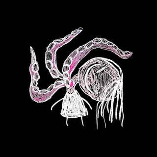 ПОШЛАЯ МОЛЛИ ✔