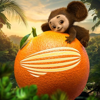 Централ Партнершип ✔