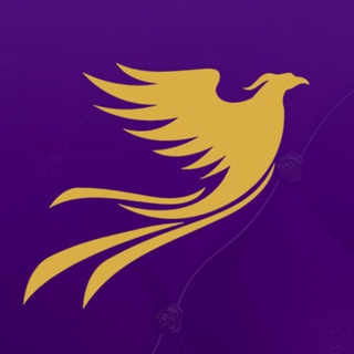 Discount Casino & Bahis