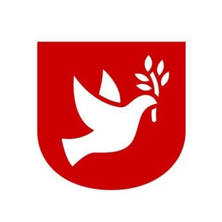 Зеркало | Новости ✔