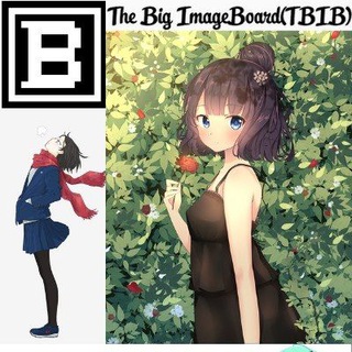 The Big ImageBoard (TBIB)😳