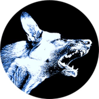 Maddog Official Channel