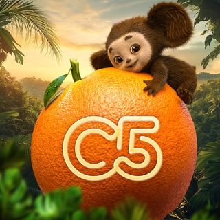 "Синема 5" сеть кинотеатров