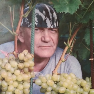 Сад по - взрослому с Виктором Шадриным