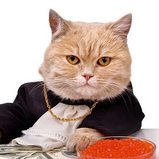 TRADING PRICE ACTION PATTERNS