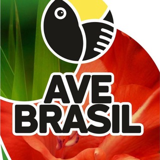 AveBrasil – Бразильские сериалы на русском