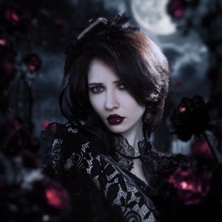 Завидные котики😎 ✔