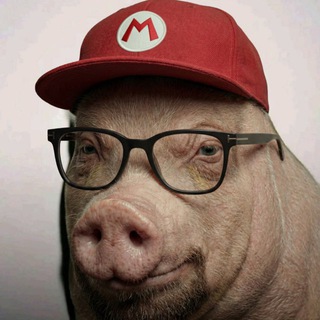 Игорь Линк ✔