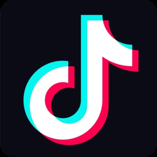 Funny TikTok Videos