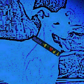 Rubix Q 777 🙏 Soldier Up 🪖 NCSWIC 💥💥💥 I AM Sovereign ✨🕊️🐸