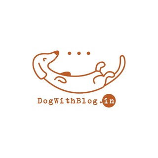 Dog with Blog 🐶