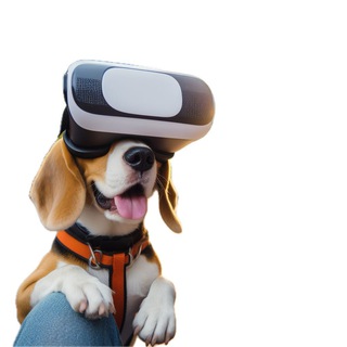 DOGVR