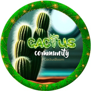 🌵CACTUS BOOM💥Channel