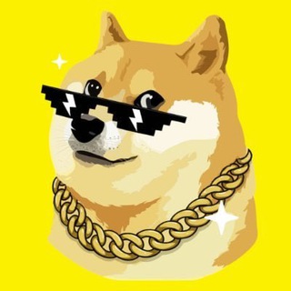 DogeX