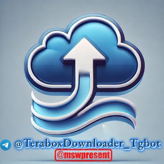 TeraBox Downloader Bot