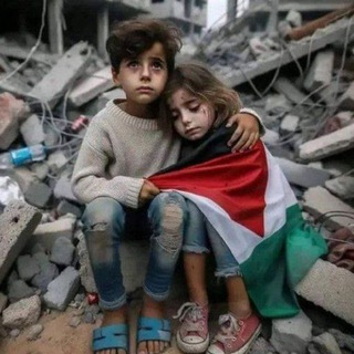 Free Palestine 🇵🇸