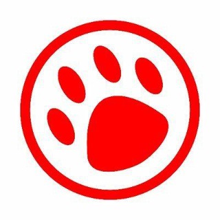 Indonesia Furs - The Channel