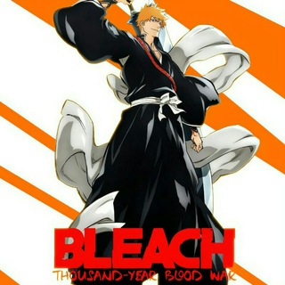 Bleach English Dubbed