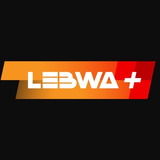 Поддержка Левша Плюс