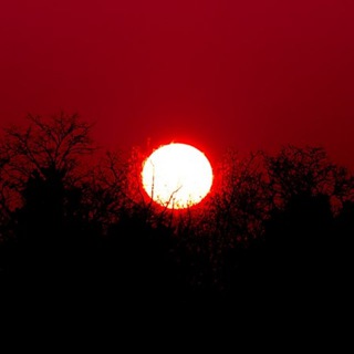 GTK Radio (Guide to Kulchur)