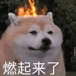 贴纸下载机器人 | Sticker Downloader Bot