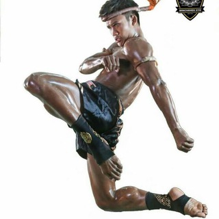 Fight Vision / Muay Thai / Martial Arts