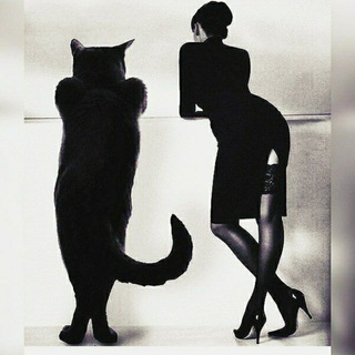 SW -SWING POLAND🇵🇱