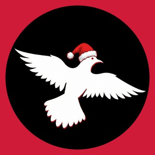 FreedomVPN Connect Bot