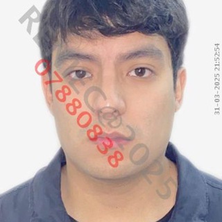 Cuchito army oficial