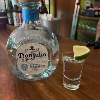 exposing discord pringados