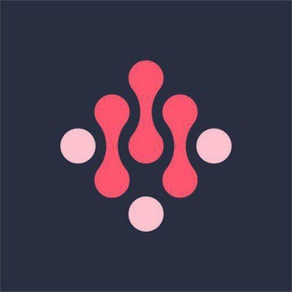 Ari Wallet Daily Quiz