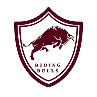Riding Bulls 📈📉📊