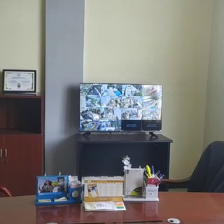 eagle eye security camera.