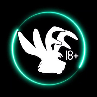 TFF Age Verification Room (18+)