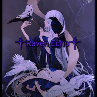 Raven Echo