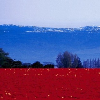 Россия Молодая