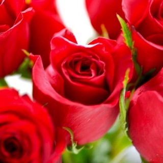 🫦 Jill Kandy 🫦