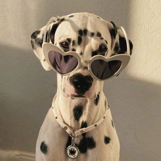 Язычки и темы для тг