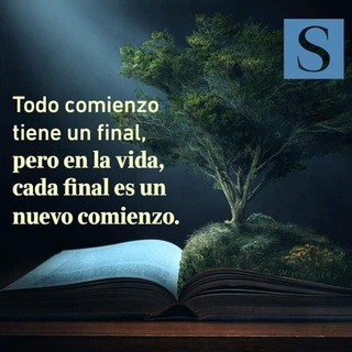 Grupo de libros en PDF